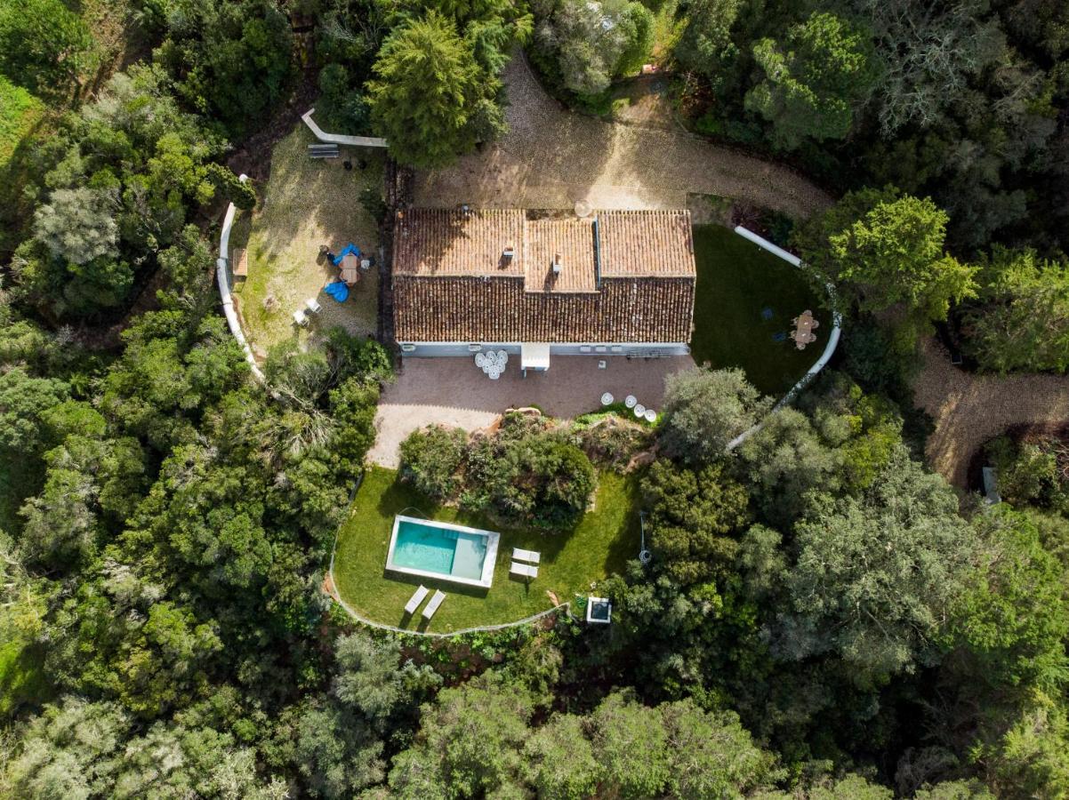 Вілла Quinta Da Arrabida Сезімбра Екстер'єр фото