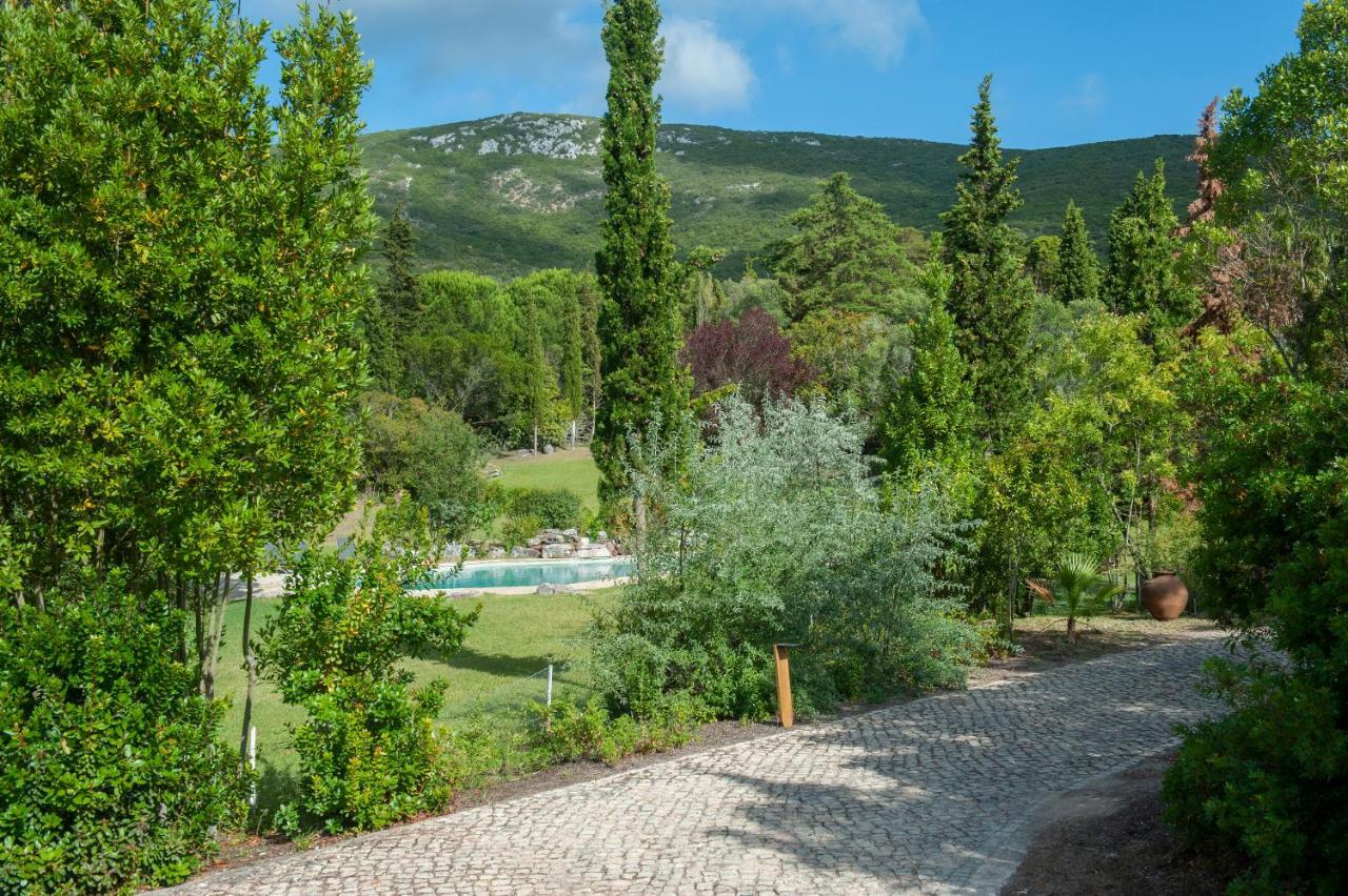 Вілла Quinta Da Arrabida Сезімбра Екстер'єр фото