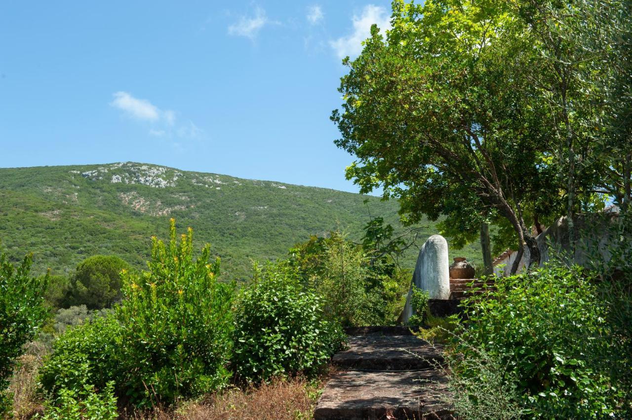 Вілла Quinta Da Arrabida Сезімбра Екстер'єр фото