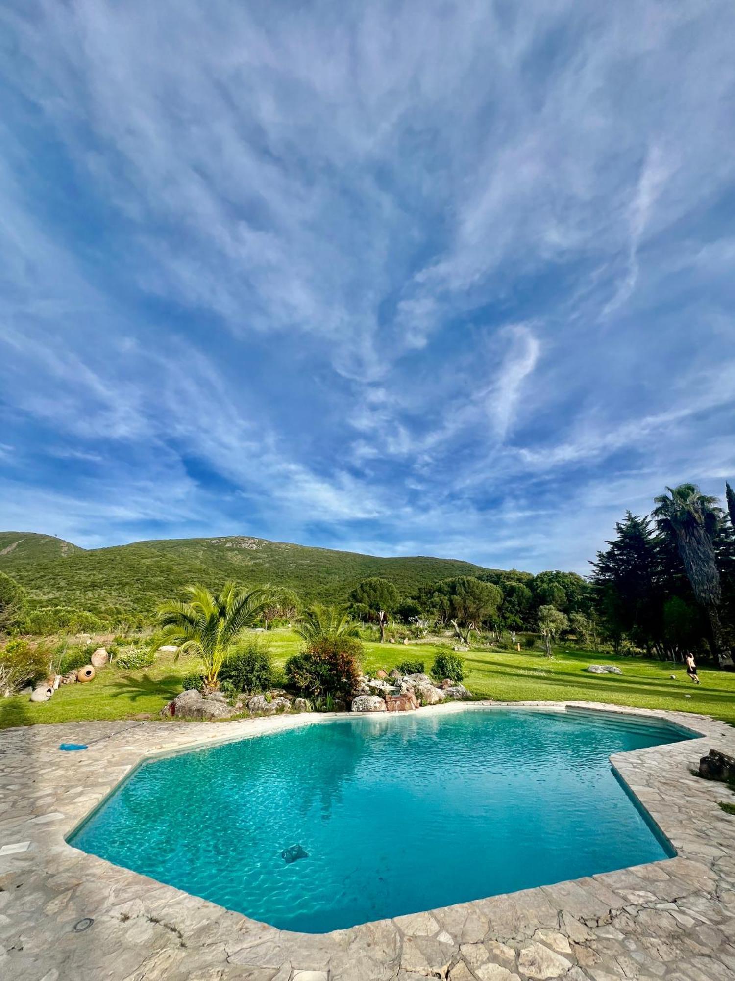 Вілла Quinta Da Arrabida Сезімбра Екстер'єр фото