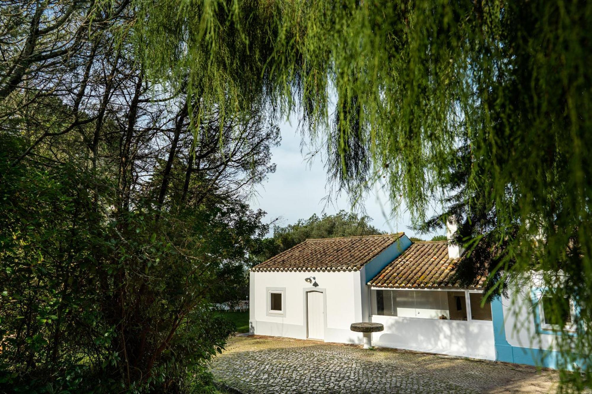 Вілла Quinta Da Arrabida Сезімбра Номер фото