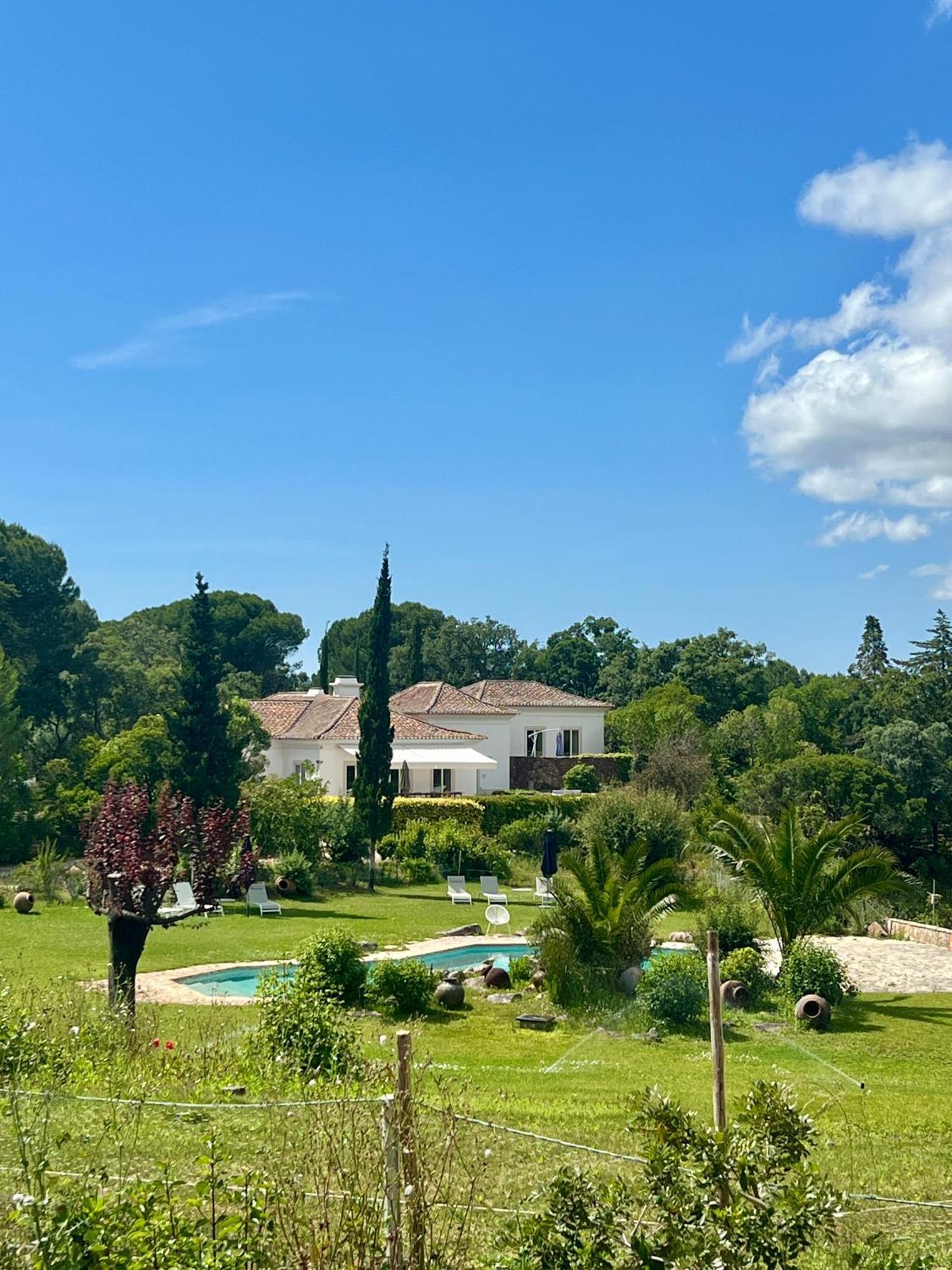 Вілла Quinta Da Arrabida Сезімбра Екстер'єр фото